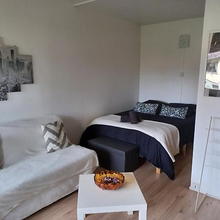 Studio Rdc Calme Avec Parking Ferme Pres Autoroute Et Tram C Mulhouse Eksteriør billede
