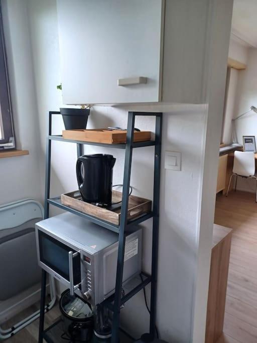Studio Rdc Calme Avec Parking Ferme Pres Autoroute Et Tram C Mulhouse Eksteriør billede