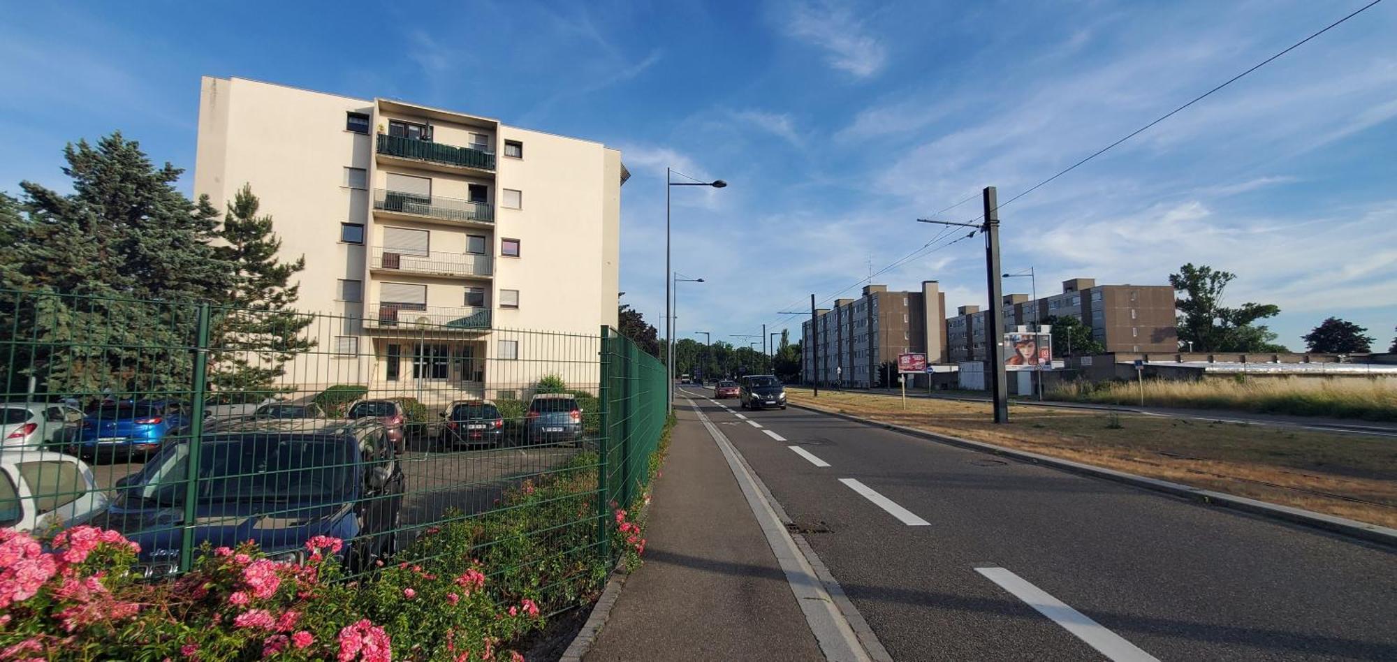 Studio Rdc Calme Avec Parking Ferme Pres Autoroute Et Tram C Mulhouse Eksteriør billede