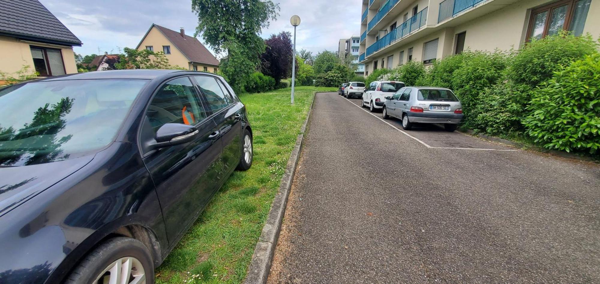 Studio Rdc Calme Avec Parking Ferme Pres Autoroute Et Tram C Mulhouse Eksteriør billede