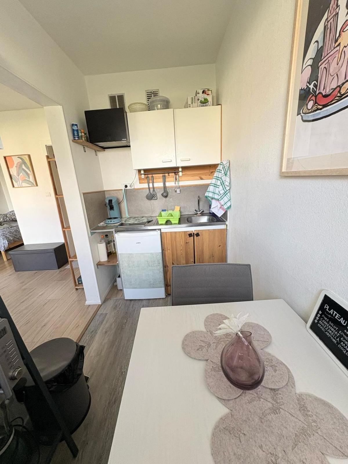 Studio Rdc Calme Avec Parking Ferme Pres Autoroute Et Tram C Mulhouse Eksteriør billede